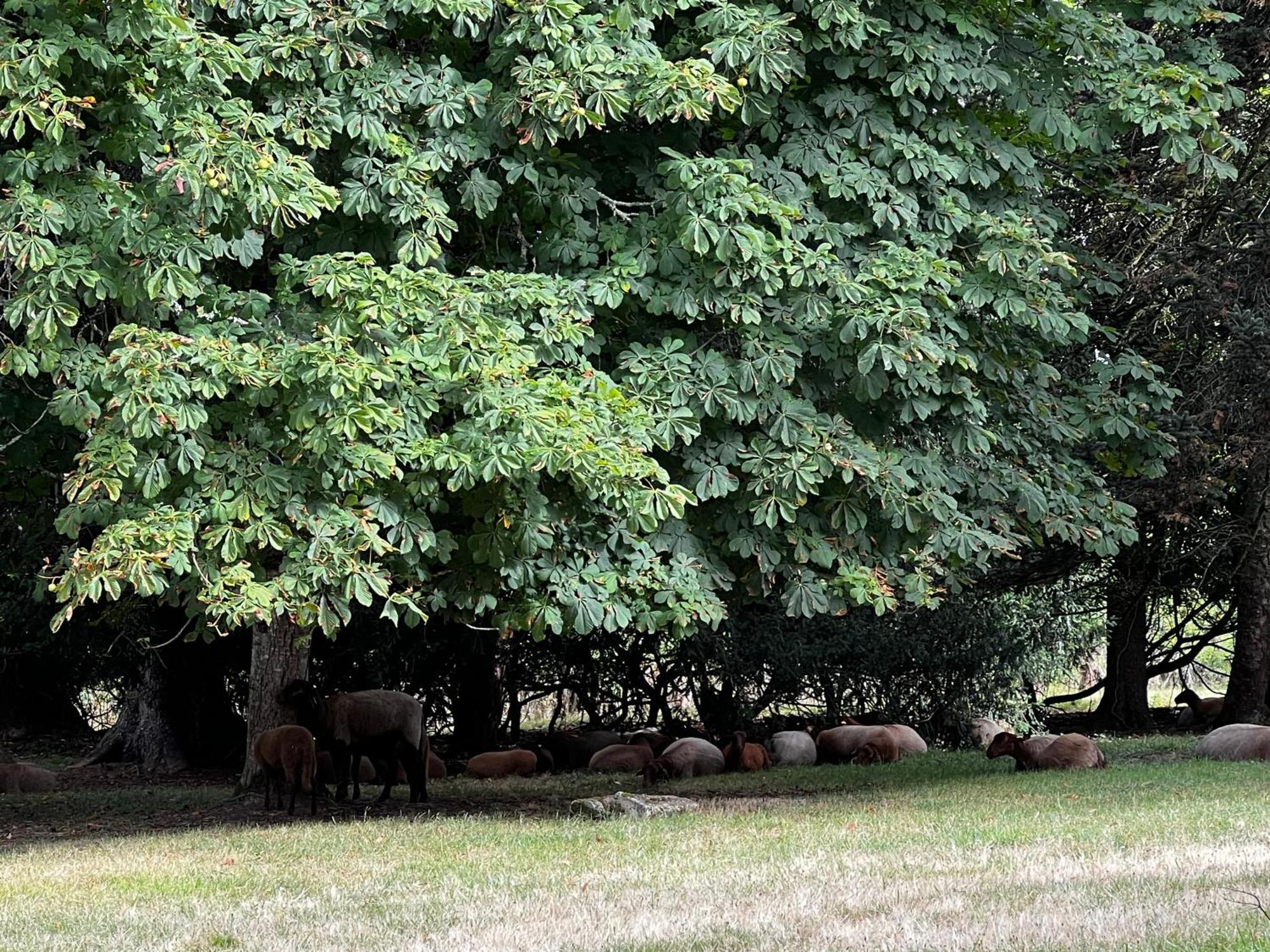 Domaine Du Faure Bed and breakfast *